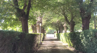 Casa en venta en Carretera de Piedrabuena, Alcolea